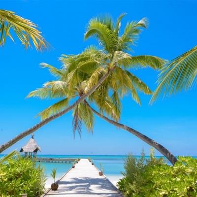 皇冠新体育·(Crown)