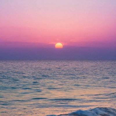 澳门4949资料免费大全手机app下载