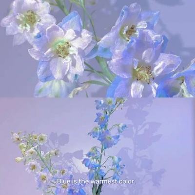 pg娱乐电子游戏下载手机版