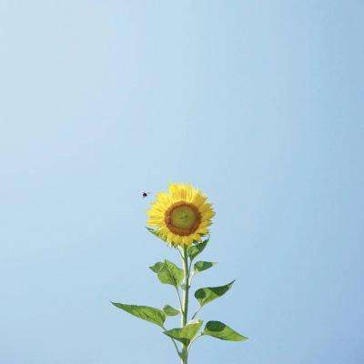 永乐国际手机app下载