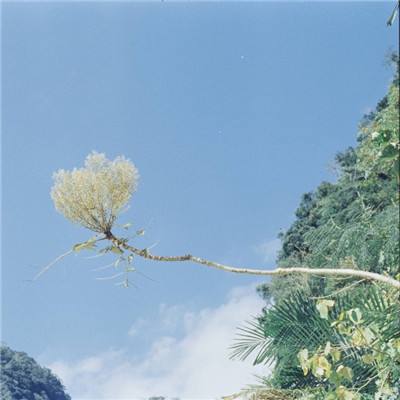 天博tb·体育综合官方网站