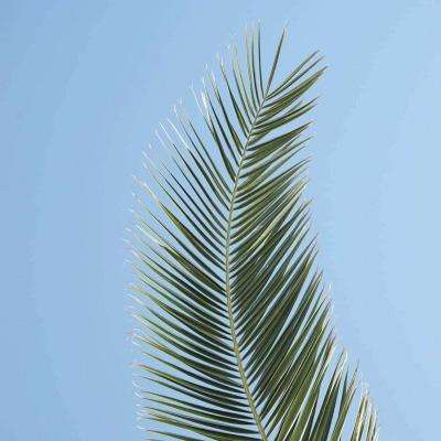 皇冠新体育·(Crown)