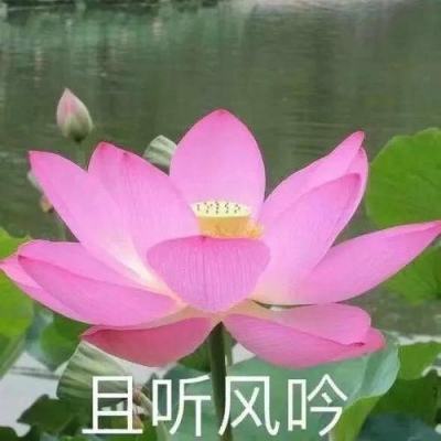 pg电子娱乐官网游戏app下载