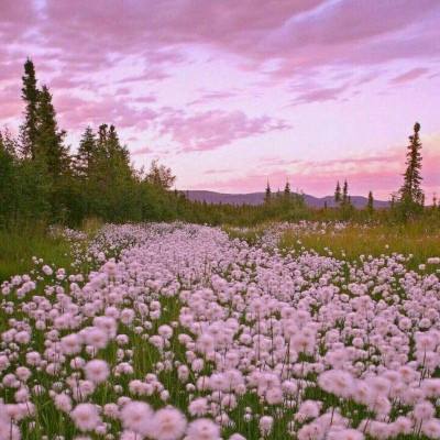 皇冠新体育·(Crown)