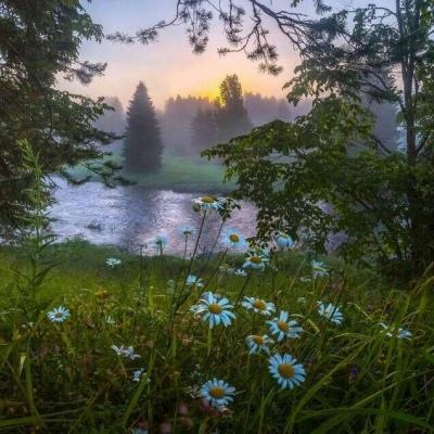 mg娱乐电子游戏官网